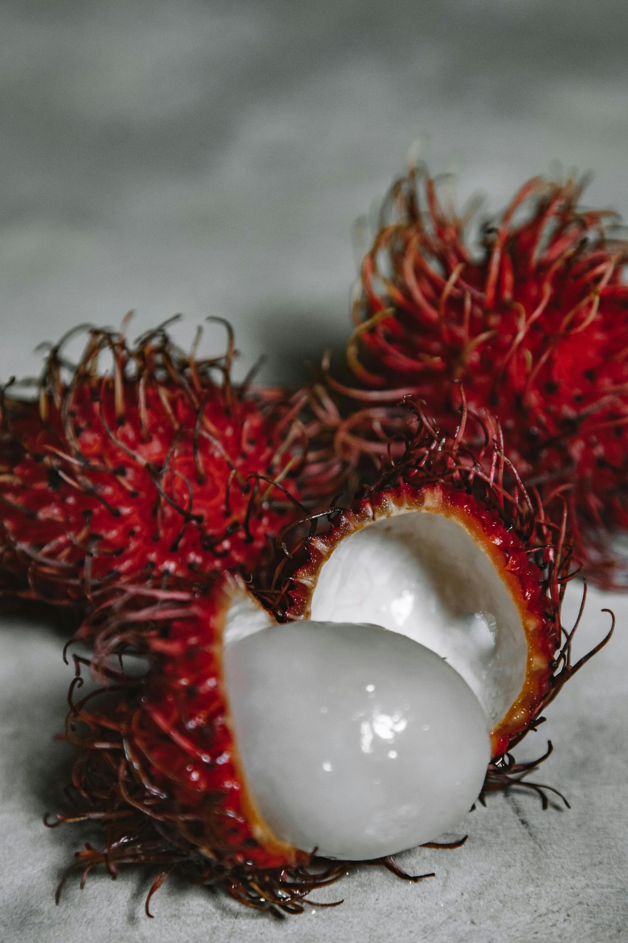 Speech Therapy Session with a Rambutan: From Avoidance to Exploration